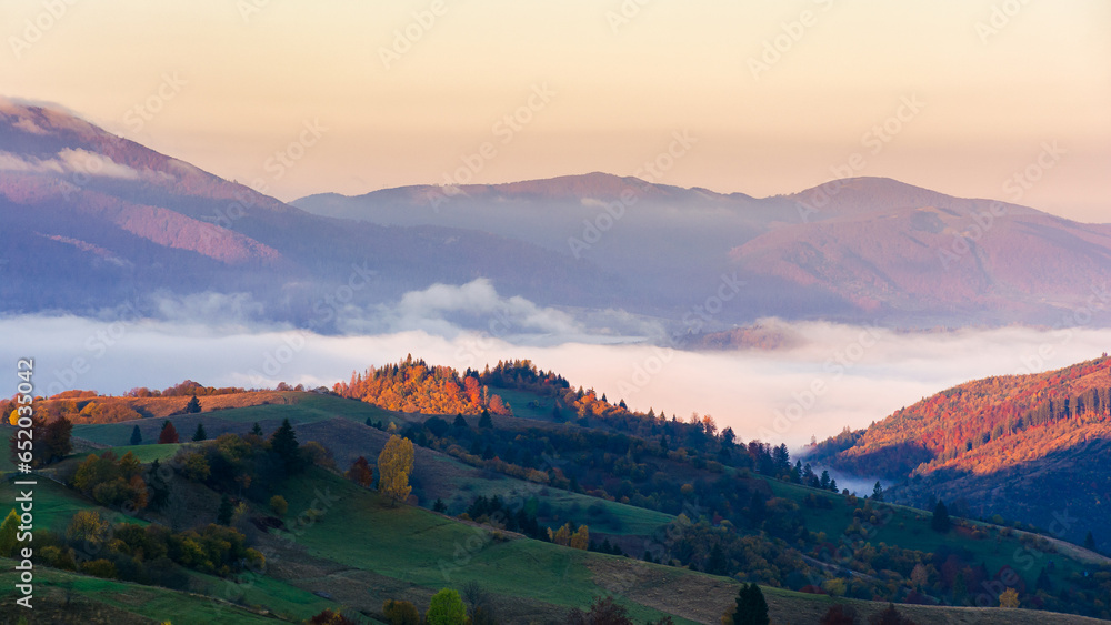 mountainous countryside at sunrise in fall season. rural landscape with forested rolling hills and grassy meadows. cloud inversion in the distant valley