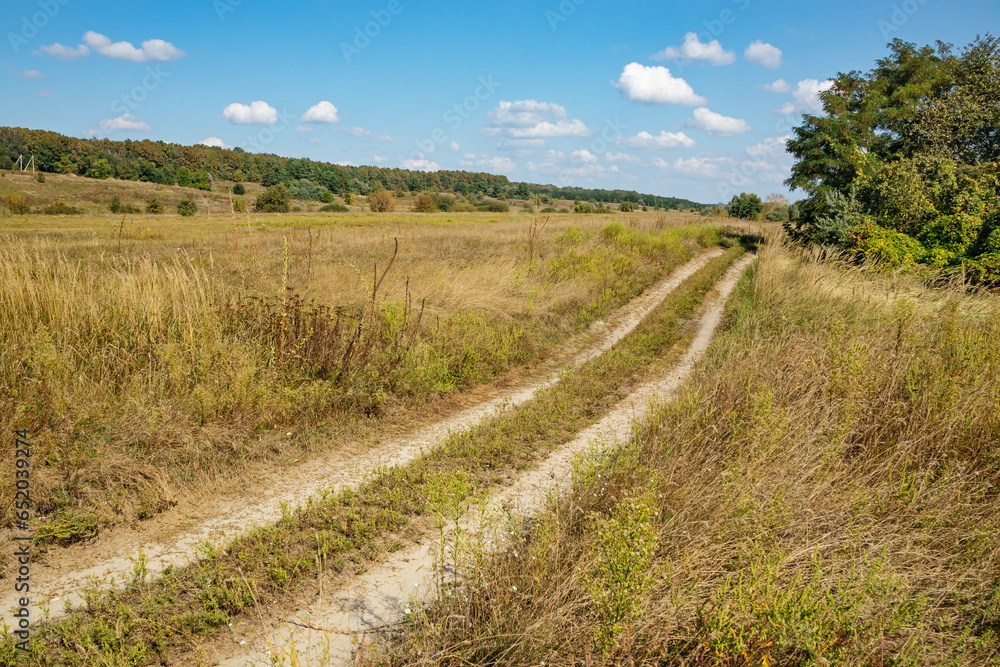 Rural road through a meadow with grass and trees. Nature of the forest-steppe on a sunny day in late summer early autumn