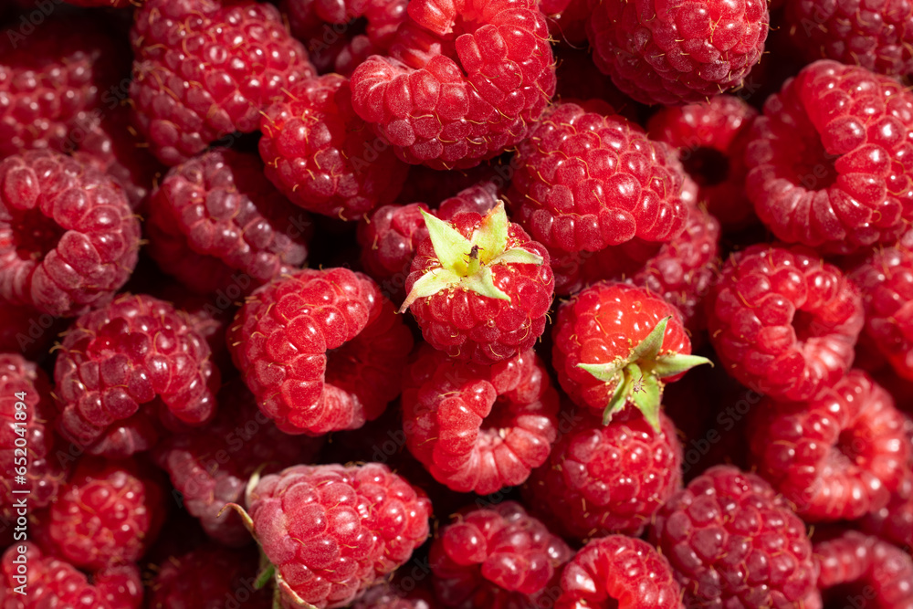 Fresh raspberries close up Fresh raspberries close up