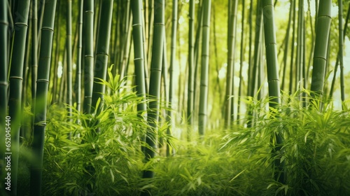 bamboo forest ai generated. © Yahor Shylau 