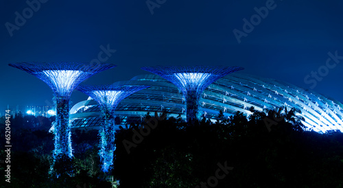 Gardens by the bay supertrees during garden rhapsody light show at night. Famous tourist attraction in Singapore. 