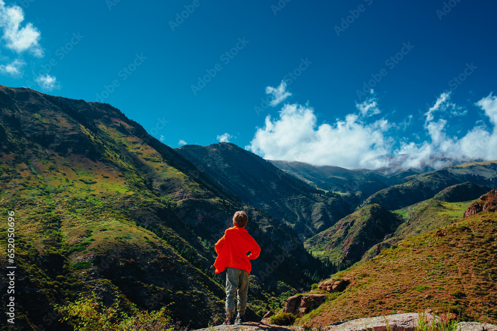 Fotografie Boy hiker standing on mountains valley back view