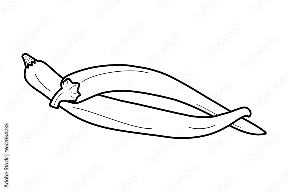 Outline drawing of two hot chili peppers drawn by hand. Mexican national spicy food. Coloring book Outline drawing of two hot chili peppers drawn by hand. Mexican national spicy food. Coloring book