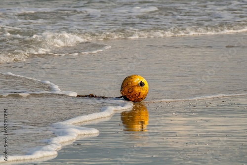 buoy on the beach