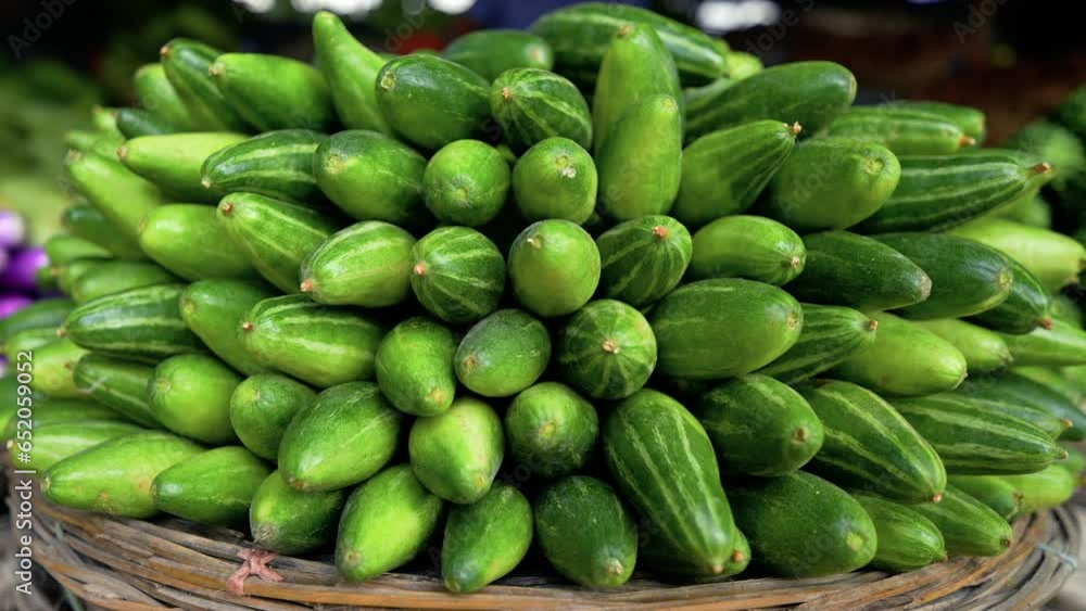 Fresh, raw pointed gourd at market. Pointed gourd, also known as parwal, parwal gourd, pointed pumpkin, and ridge gourd, is a versatile and nutritious vegetable. 4k vegetables video Fresh, raw pointed gourd at market. Pointed gourd, also known as parwal, parwal gourd, pointed pumpkin, and ridge gourd, is a versatile and nutritious vegetable. 4k vegetables video