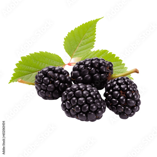 Black mulberries, a burst of flavor and color, isolated on a white background.
