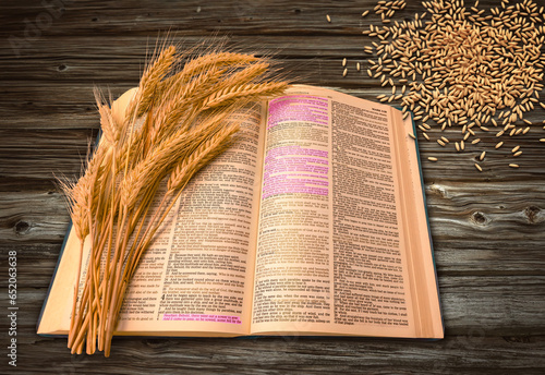 Bible opened in Mark where Jesus is talking about sowing seed and how it is scattered in different grounds. Buch of rye over the open book photo and photo manipulation.  photo