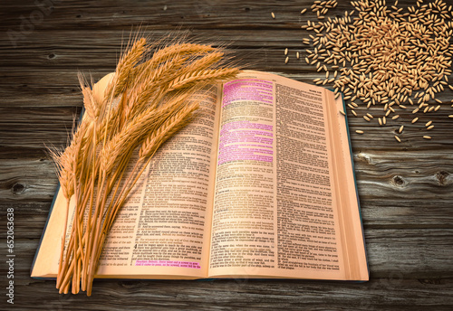 Konstfotografi Bible opened in Mark where Jesus is talking about sowing seed and how it is scattered in different grounds