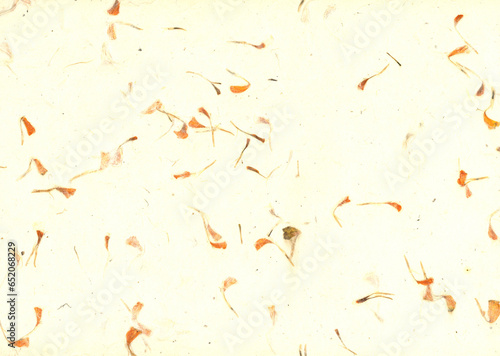 High resolution beige leach texture background board