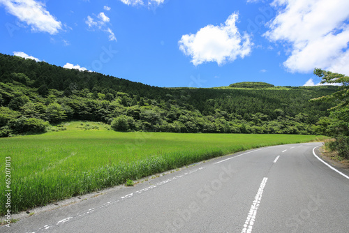 愛媛県西予市 大野ヶ原の風景