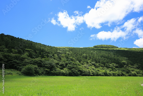 Wallpaper Mural 愛媛県西予市　大野ヶ原の風景 Torontodigital.ca