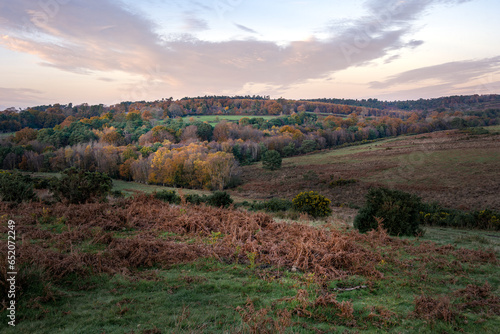 View of Ashdown forest in autumn, East Sussex, England