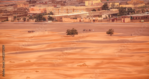 camel caravan in the Sahara desert arriving to Merzouga village  photo