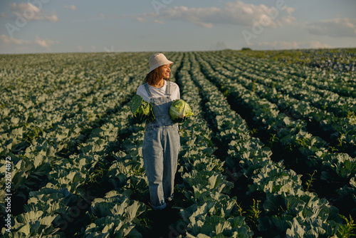 Professionl female farmer in uniform working in cabbage field during harvest. Agricultural activity