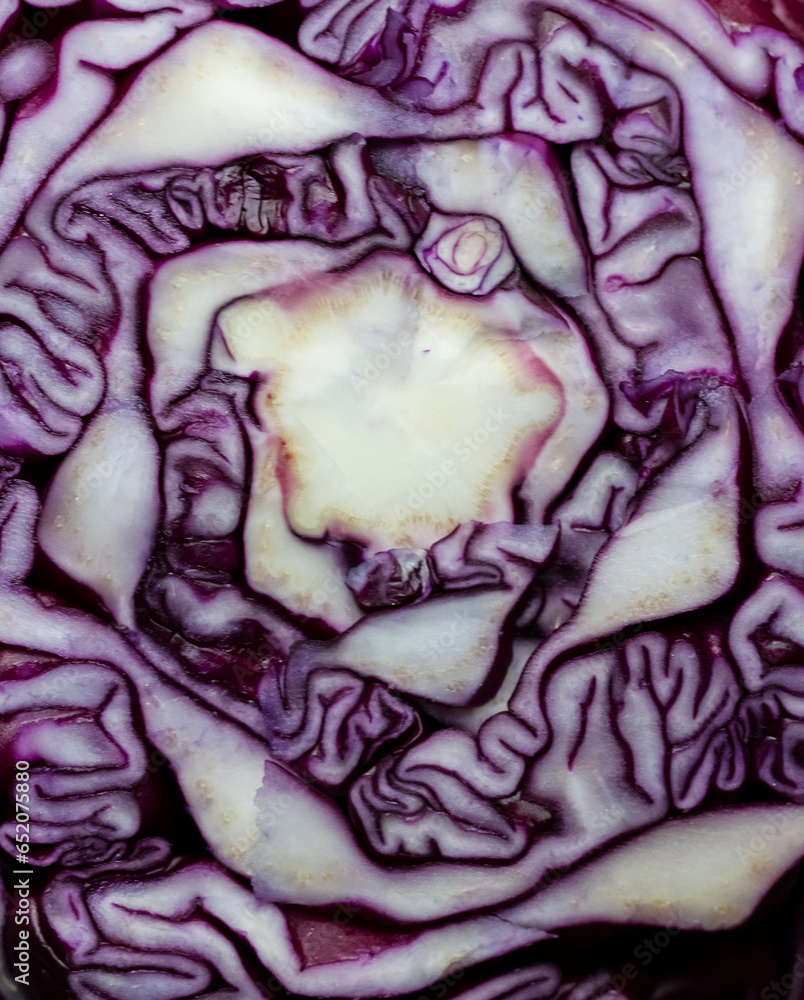 Obraz premium close up texture red cabbage cut in half