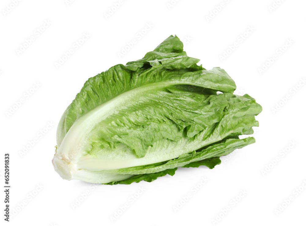 Fresh green romaine lettuce isolated on white Fresh green romaine lettuce isolated on white