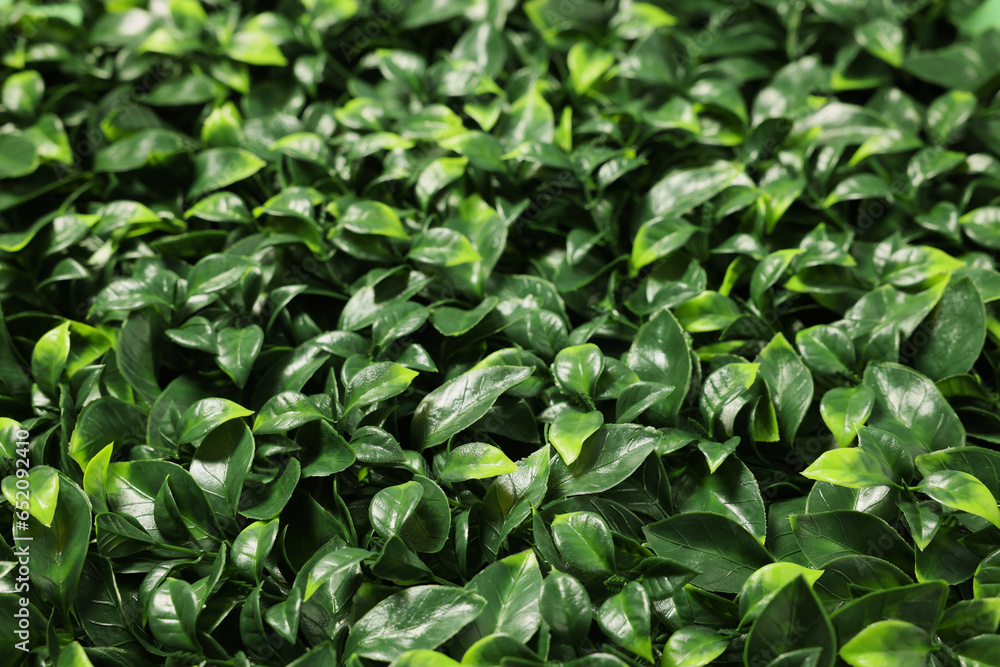 Green artificial plants as background, closeup view Green artificial plants as background, closeup view