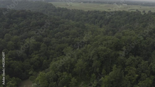 Aerial footage of a jungle, forest in the United States with green trees and blue skies