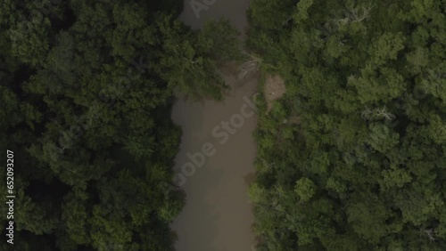 Aerial footage of a jungle, forest in the United States with green trees and blue skies