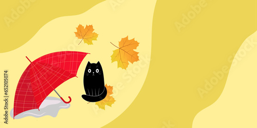 Autumn background. A small black kitten sits next to an umbrella among yellow leaves.