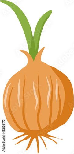 Vegetable onion