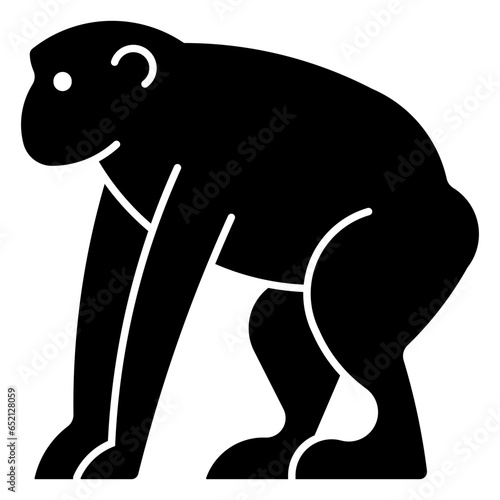 chimpanzee