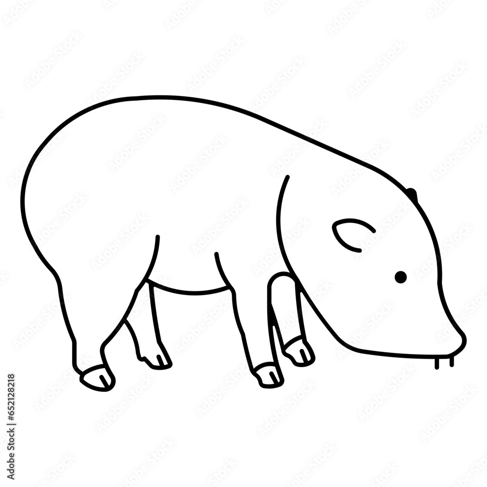 Collared Peccary Collared Peccary