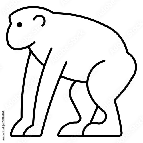 chimpanzee
