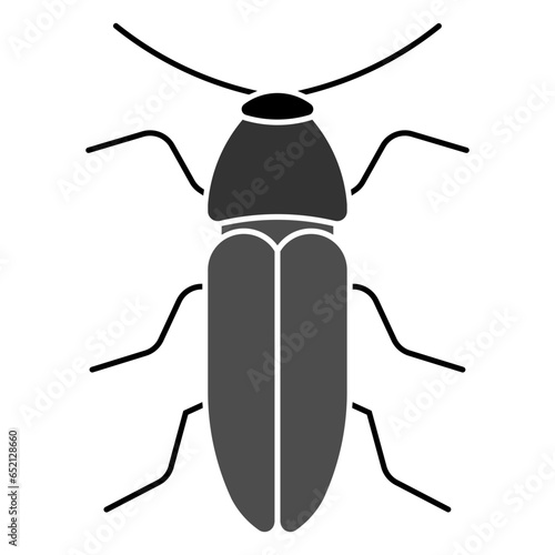 dung beetle
