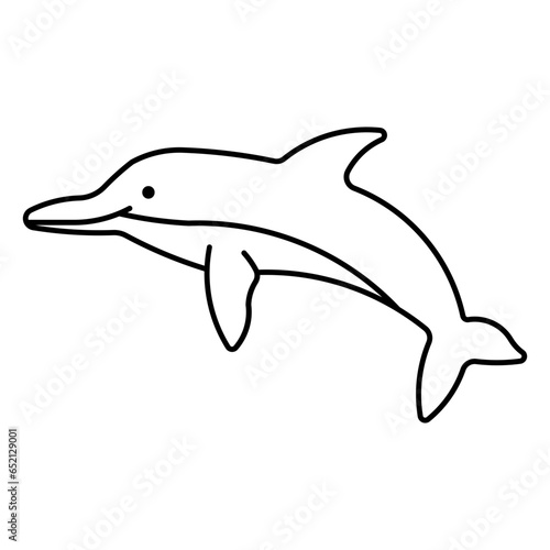 bottlenose dolphin