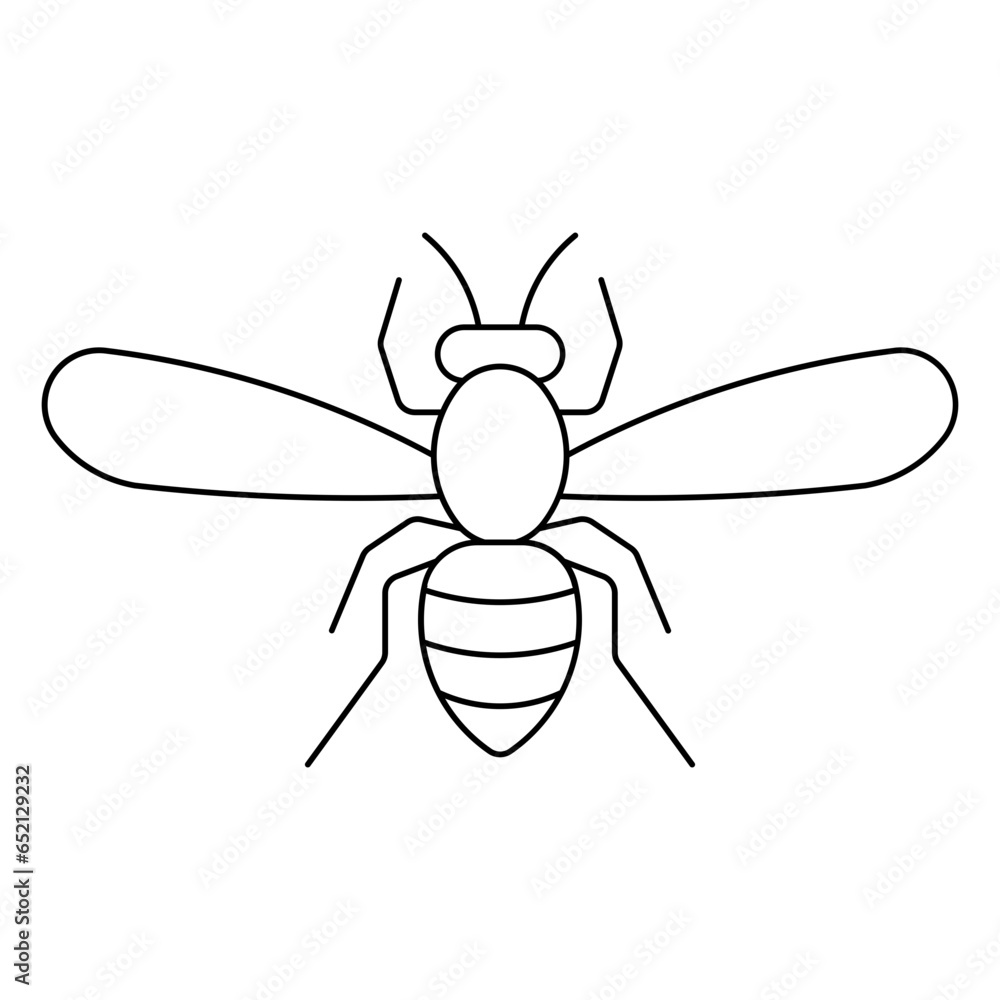 Obraz premium hornet