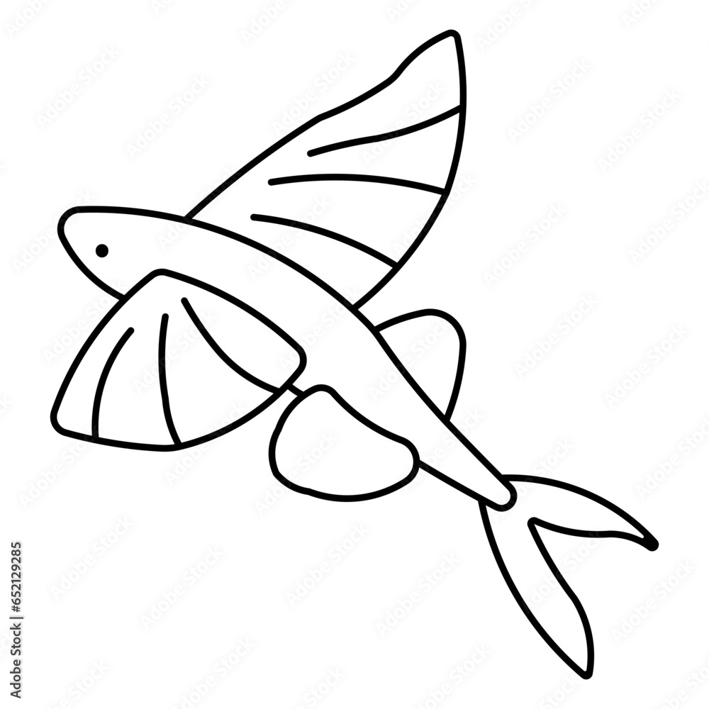 flying fish flying fish