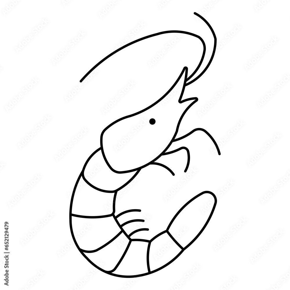 Fototapeta premium Krill