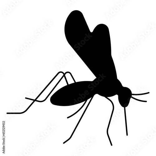 mosquito