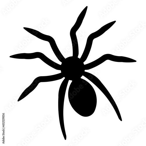 spider