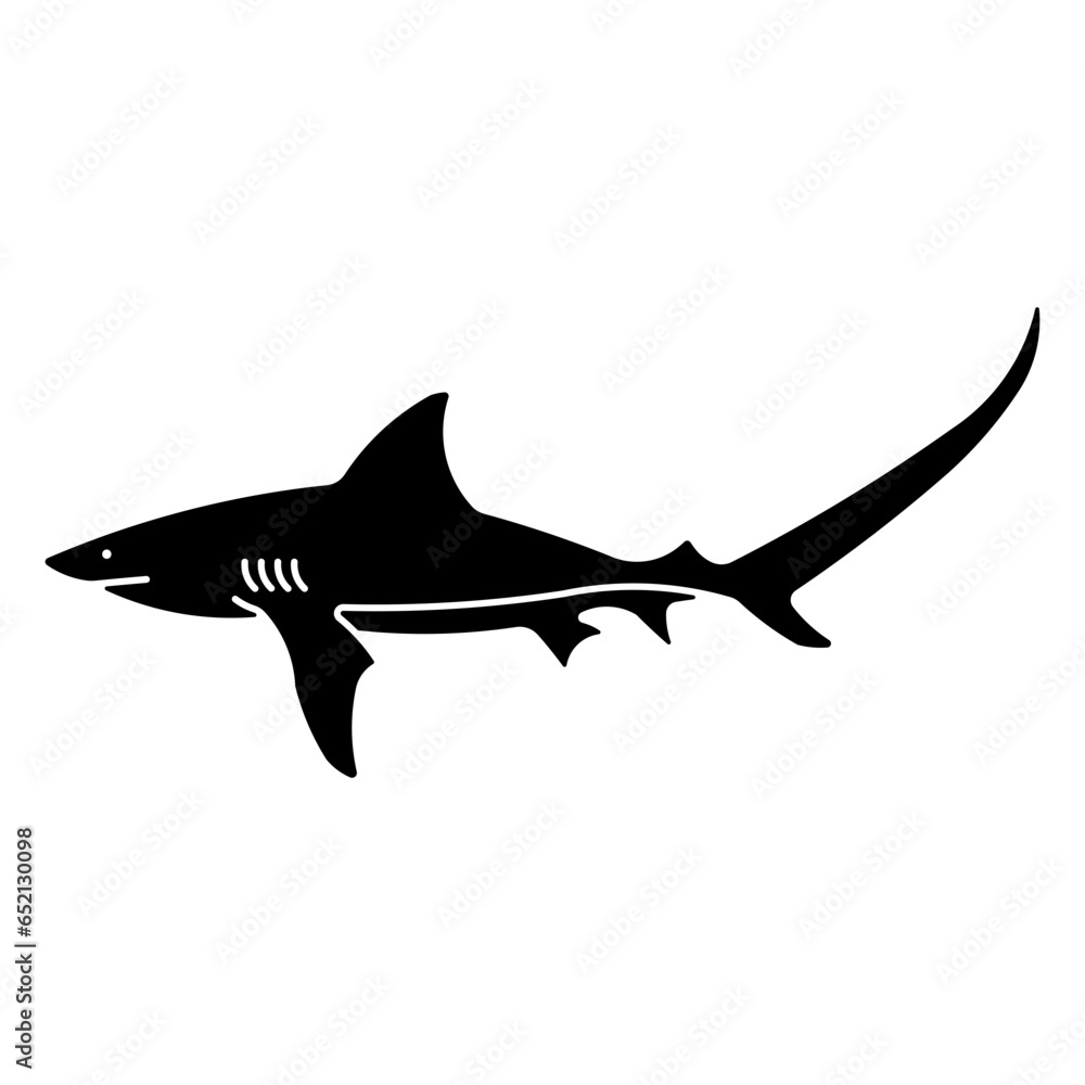 Fototapeta premium thresher shark
