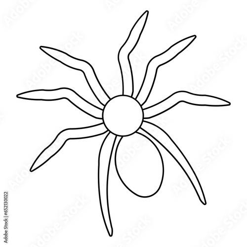 spider