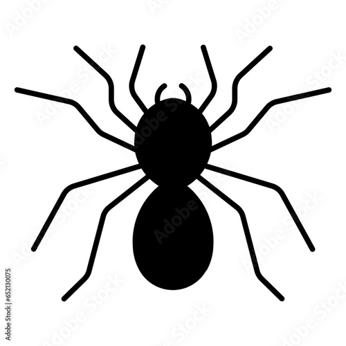 tarantula