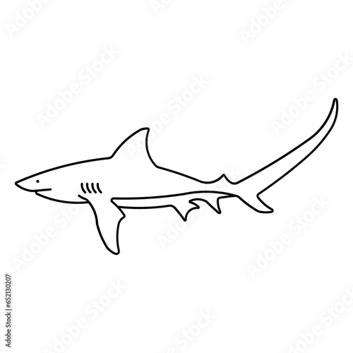 thresher shark