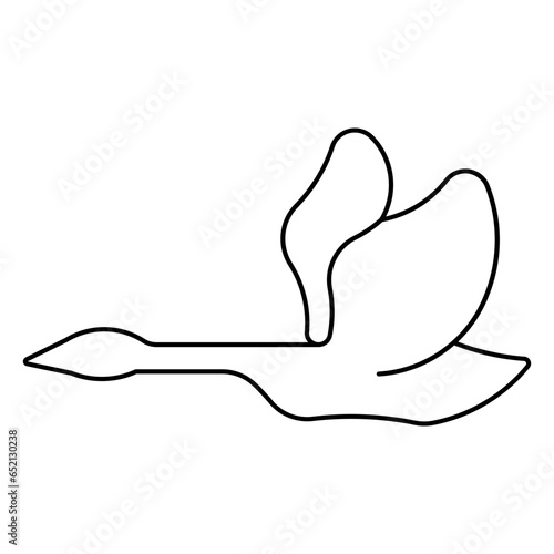 trumpeter swan
