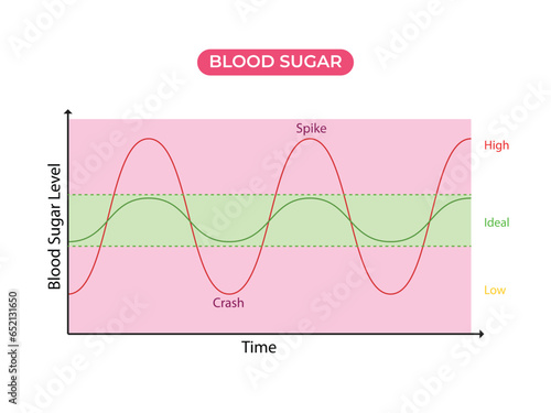 Blood sugar balance levels, diabetes. Normal or ideal, low and high unstable levels with spike and crush