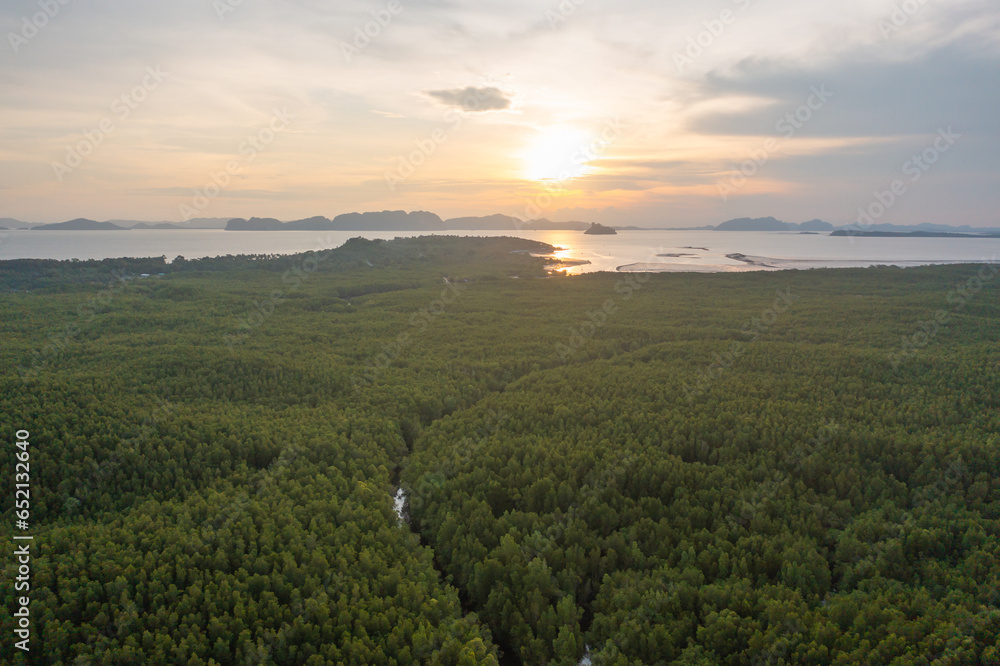 Obraz premium Aerial top view of a garden park with green mangrove forest trees, river, pond or lake. Nature landscape background, Thailand.