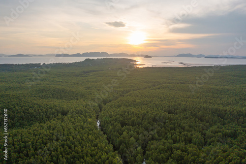 Aerial top view of a garden park with green mangrove forest trees  river  pond or lake. Nature landscape background  Thailand.