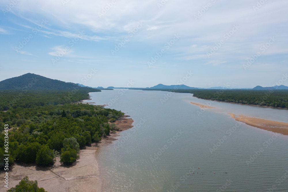 custom made wallpaper toronto digitalAerial top view of a garden park with green mangrove forest trees, river, pond or lake. Nature landscape background, Thailand.