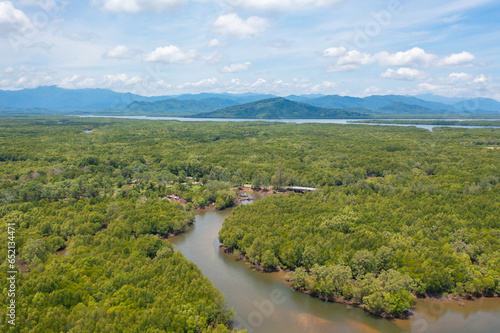 Aerial top view of a garden park with green mangrove forest trees, river, pond or lake. Nature landscape background, Thailand.