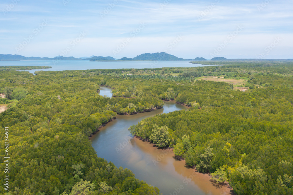 Obraz premium Aerial top view of a garden park with green mangrove forest trees, river, pond or lake. Nature landscape background, Thailand.