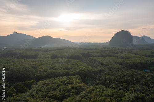 Aerial top view of lush green trees from above in tropical forest in national park in summer season. Natural landscape. Pattern texture background.