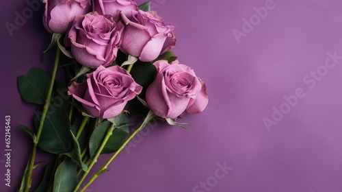 Purple roses on purple background