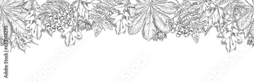 Autumn leaves, seamless vector border, hand sketched illustrations.