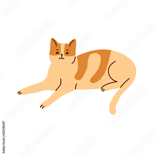 Cute funny domestic animal or pet. Adorable lying kitty or pussycat.